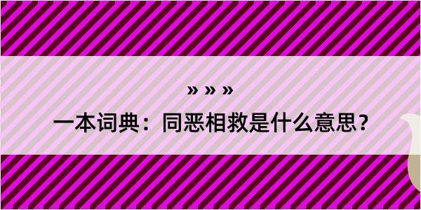 一本词典：同恶相救是什么意思？