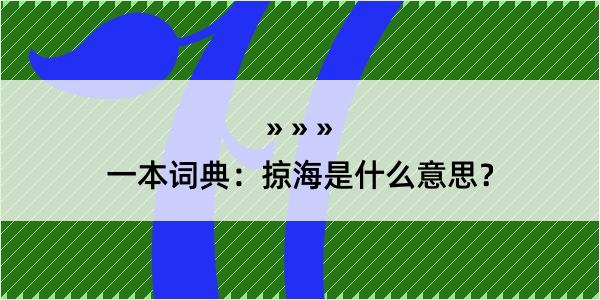 一本词典：掠海是什么意思？