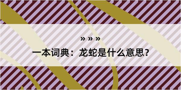 一本词典：龙蛇是什么意思？