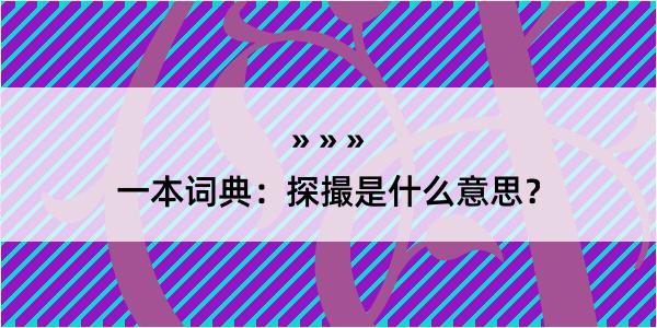 一本词典：探撮是什么意思？