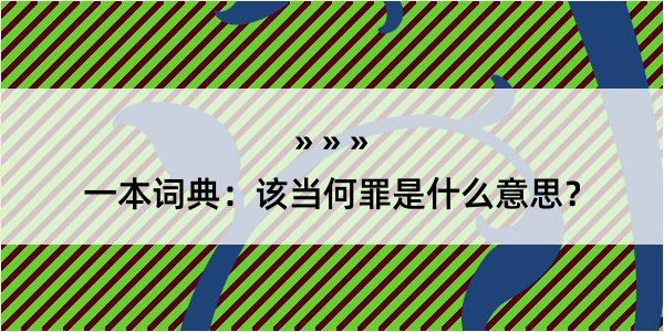 一本词典：该当何罪是什么意思？