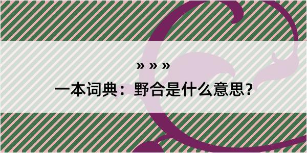 一本词典：野合是什么意思？