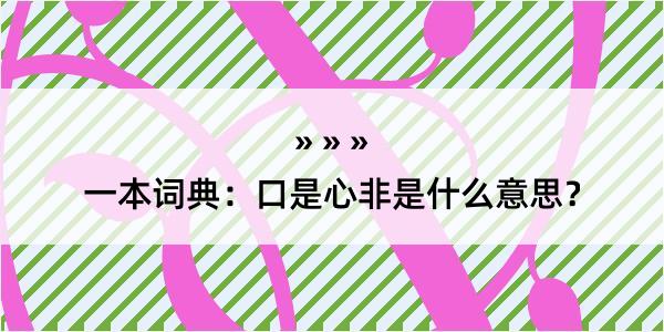 一本词典：口是心非是什么意思？