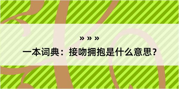 一本词典：接吻拥抱是什么意思？