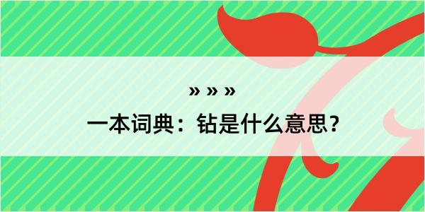 一本词典：钻是什么意思？