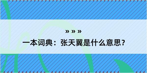 一本词典：张天翼是什么意思？