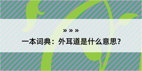 一本词典：外耳道是什么意思？