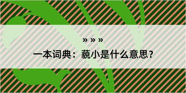 一本词典：藐小是什么意思？