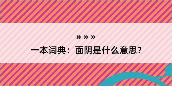 一本词典：面阴是什么意思？