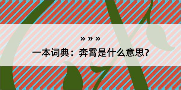 一本词典：奔霄是什么意思？