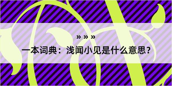 一本词典：浅闻小见是什么意思？