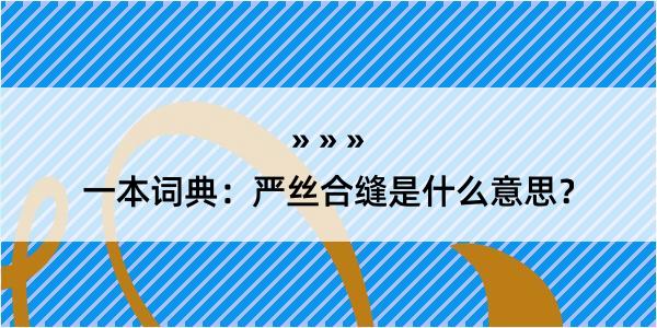 一本词典：严丝合缝是什么意思？