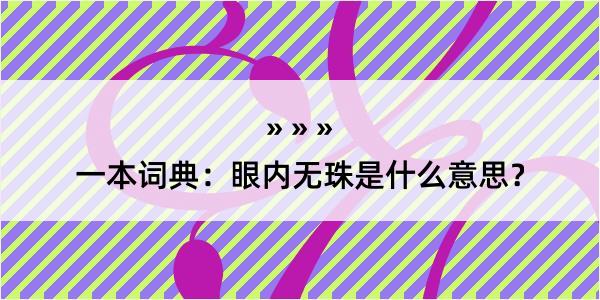 一本词典：眼内无珠是什么意思？