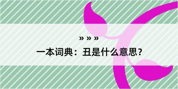 一本词典：丑是什么意思？