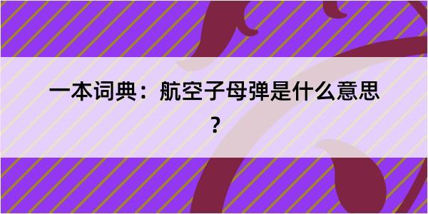 一本词典：航空子母弹是什么意思？