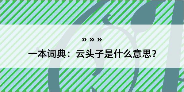 一本词典：云头子是什么意思？