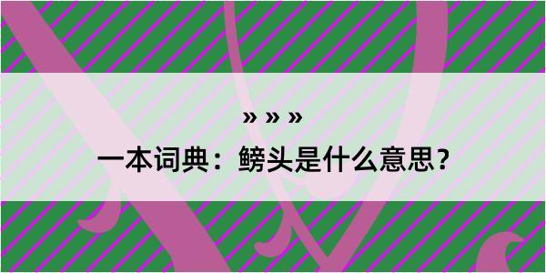 一本词典：鳑头是什么意思？