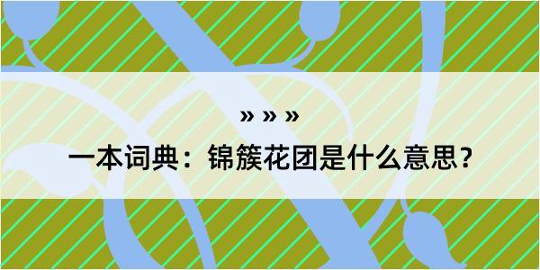 一本词典：锦簇花团是什么意思？