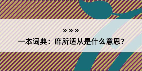 一本词典：靡所适从是什么意思？