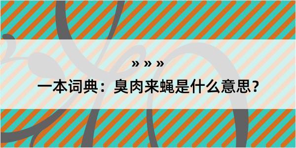 一本词典：臭肉来蝇是什么意思？