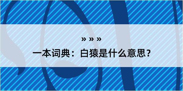 一本词典：白猿是什么意思？