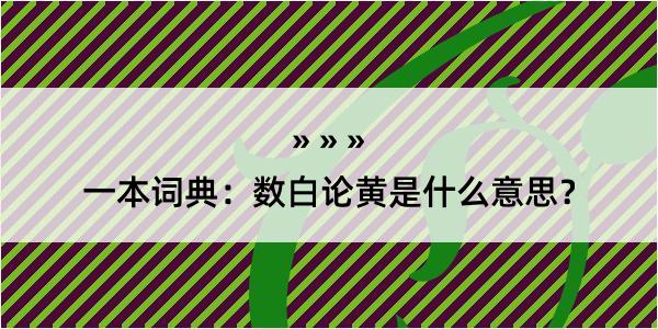 一本词典：数白论黄是什么意思？