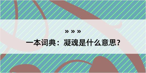 一本词典：凝魂是什么意思？