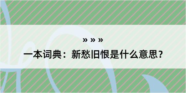 一本词典：新愁旧恨是什么意思？