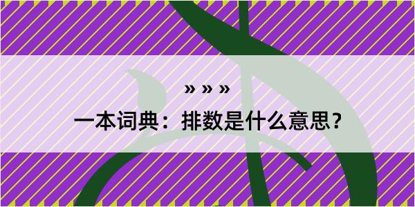 一本词典：排数是什么意思？