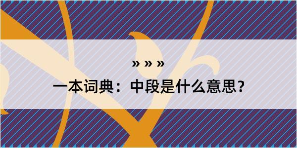 一本词典：中段是什么意思？