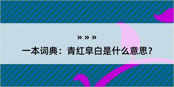 一本词典：青红皁白是什么意思？