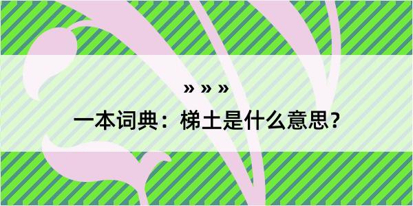 一本词典：梯土是什么意思？