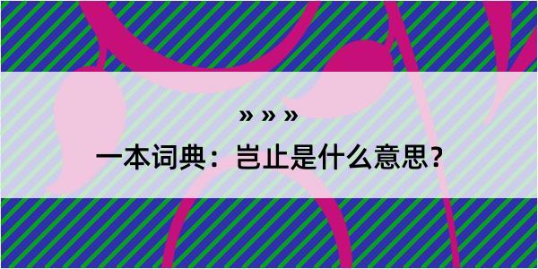 一本词典：岂止是什么意思？