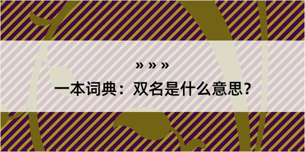 一本词典：双名是什么意思？