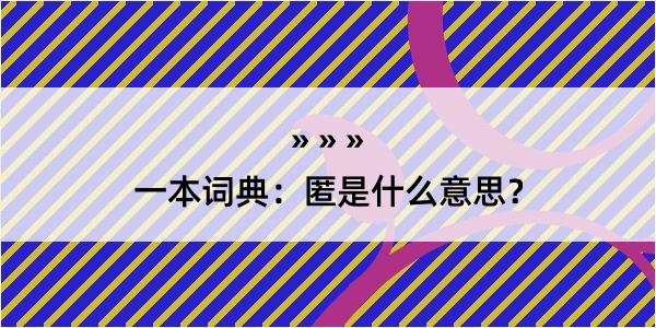 一本词典：匿是什么意思？