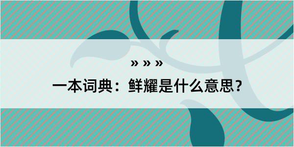 一本词典：鲜耀是什么意思？