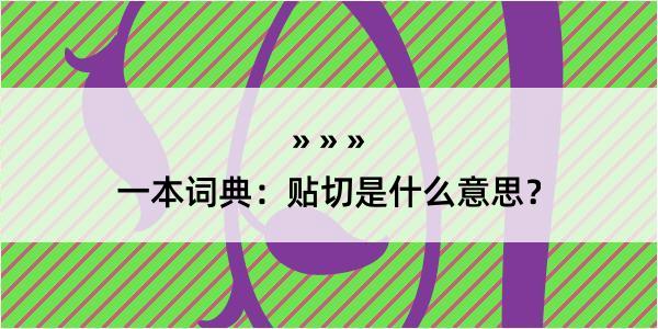 一本词典：贴切是什么意思？