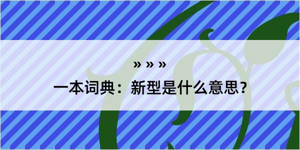 一本词典：新型是什么意思？