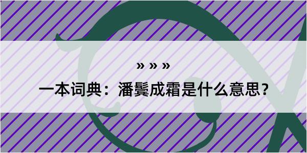 一本词典：潘鬓成霜是什么意思？