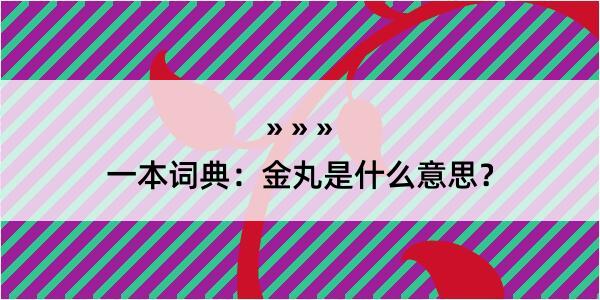 一本词典：金丸是什么意思？