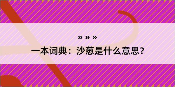 一本词典：沙葱是什么意思？