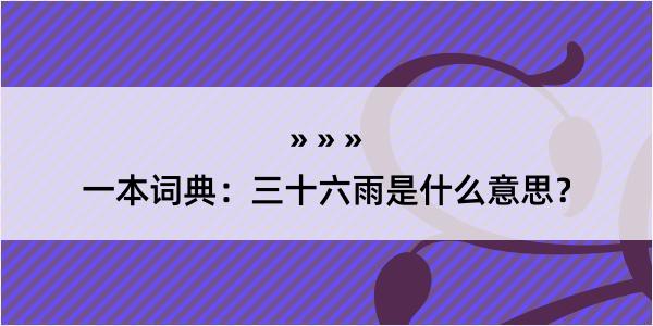 一本词典：三十六雨是什么意思？