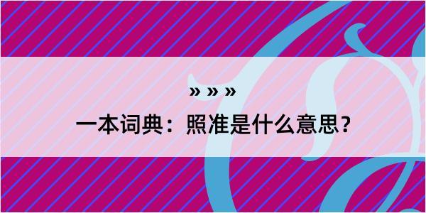 一本词典：照准是什么意思？