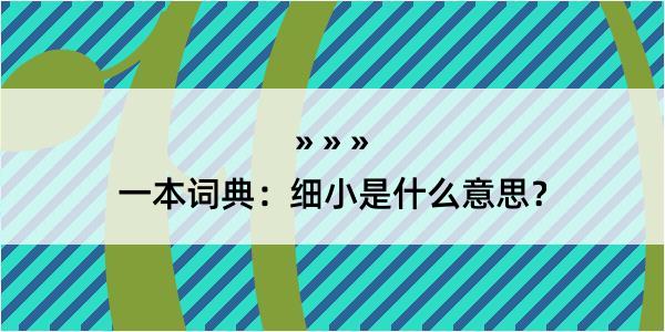 一本词典：细小是什么意思？