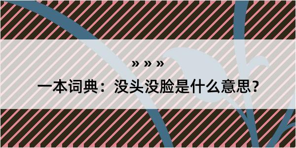 一本词典：没头没脸是什么意思？