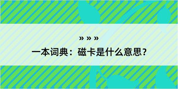 一本词典：磁卡是什么意思？