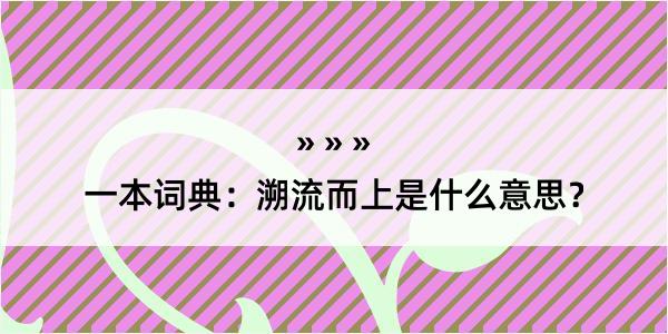 一本词典：溯流而上是什么意思？