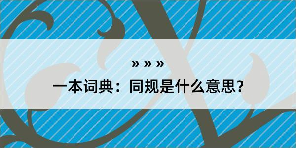 一本词典：同规是什么意思？