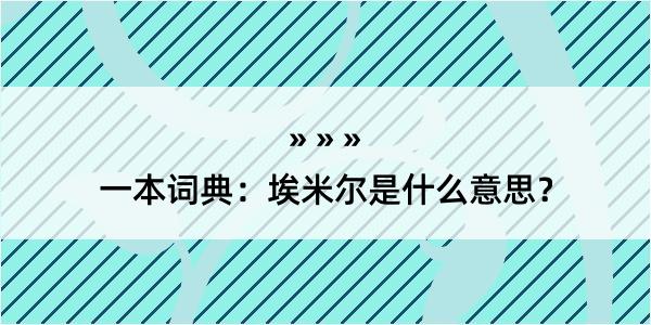 一本词典：埃米尔是什么意思？