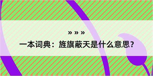 一本词典：旌旗蔽天是什么意思？